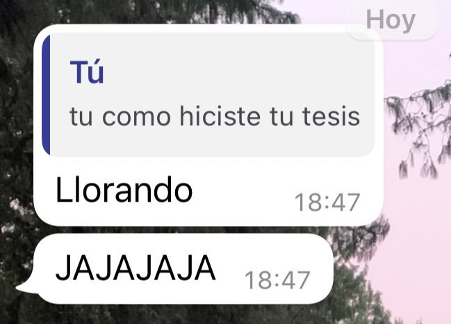fregisset's tweet photo. hay otra forma de hacer una tesis ???? https://t.co/Z04jzP1vuB