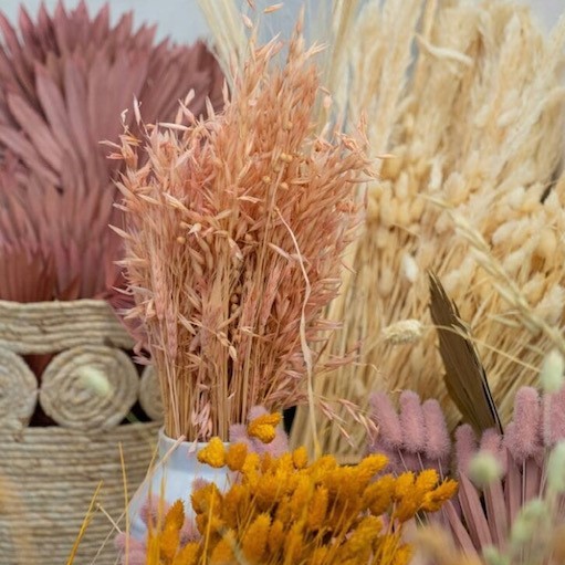 AbbotsinchSP's tweet image. Add some colour to your home with beautiful dried flowers from @DunelmUK. 💐

#Dunelm #DunelmHome #Home #DriedFlowers #HomeInspo #Flowers