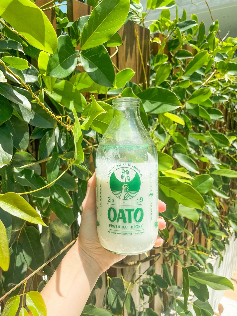 oatofresh's tweet photo. We don’t add any sugar. All the sweetness comes directly from the oats. Oats are high in fibre, so drinking Oato can help lower cholesterol.⁠
⁠
#oatmilk #oatofresh https://t.co/LvxaIiYt6v