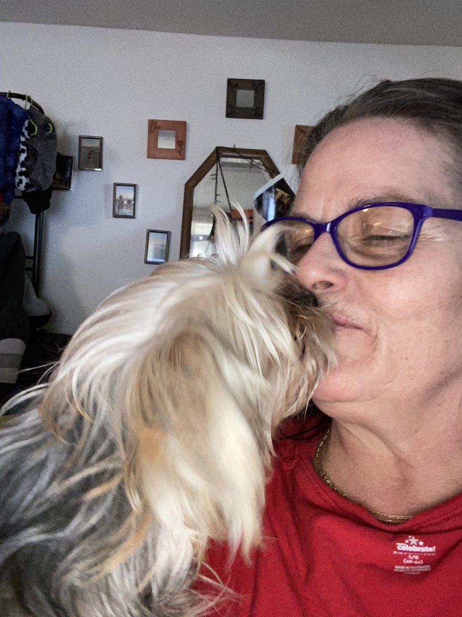 lisababybusines's tweet photo. @StehlePhil @DollyParton @JP_Books Awe I love my dogs https://t.co/QhMjHcmbdJ