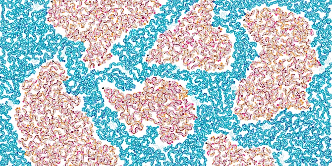 UPFBarcelona's tweet image. 🌏🌱🐼
El projecte @EBPgenome pretén obtenir la seqüència del genoma de les plantes, animals, fongs i formes de vida microbiana de la Terra. Té per objectiu seqüenciar aquest any 3.000 genomes. I compta amb la participació de @IBE_Barcelona (CSIC-UPF)
#RecercaUPF #ADN #Biologia