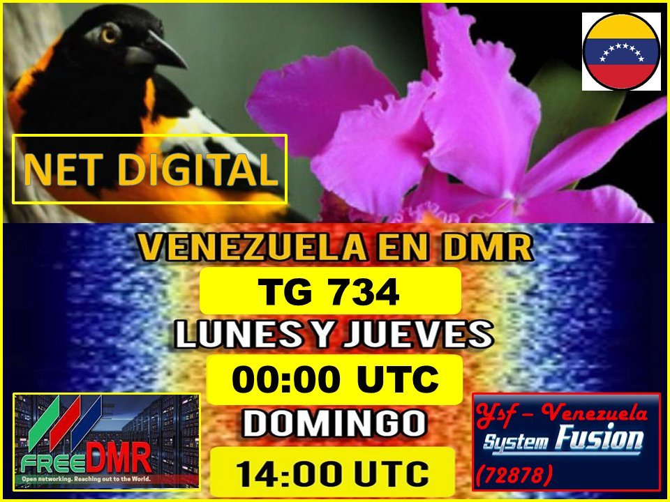 NetDigitalVzla's tweet photo. Hoy emisión No 269 a partir de las 00 UTC, por el TG 734 #freedmr y por el reflector ysf-venezuela (72878). Dos ventanas de Vzla para el mundo. #hamradio #dmr #ysf @GREMPanama
@FreedmrPeru @Freedmr_Panama @yv1aj_rcv @ARV_Caracas
@EcholinkChile @EcuadorDXclub @ure_es
@dmrspain https://t.co/clmND4mqBX