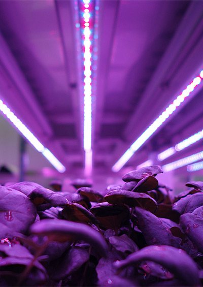 Alphatech Ltd tweet media