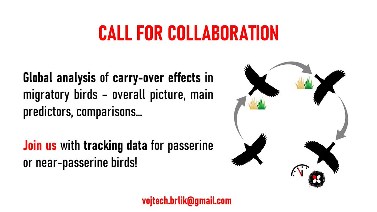 VojtechBrlik's tweet photo. Together with @rytikerttunen, S. Hahn and @RyanNorrisSci, we work on a project on carry-over effects in #birds.🐦

We are looking for collaborators! Details on the project: https://t.co/d1yqhxyYnh

Please spread the word and RT!

#ornithology #birdmigration #migration #phdlife https://t.co/xLGbH5DzHj