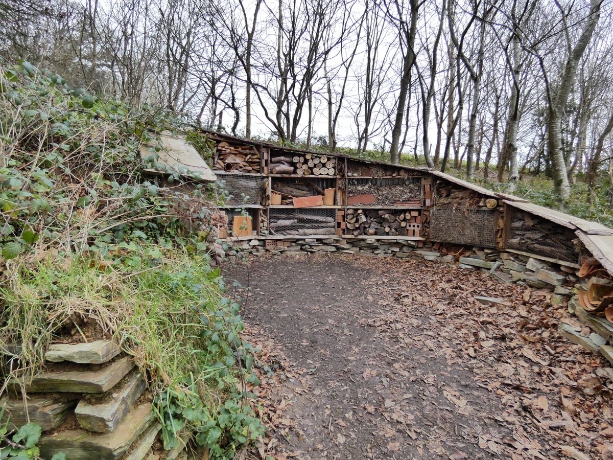 We came across this rather impressive bug hotel at the #lostgardensofheligan over the weekend! 

We'd love to know of other locations where bugs can check in for a 5 star stay, as this was pretty large-scale!

#linksmagazines #dartmoorlinks