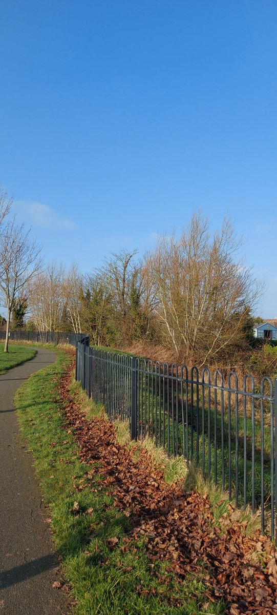 Donna Spratt tweet media