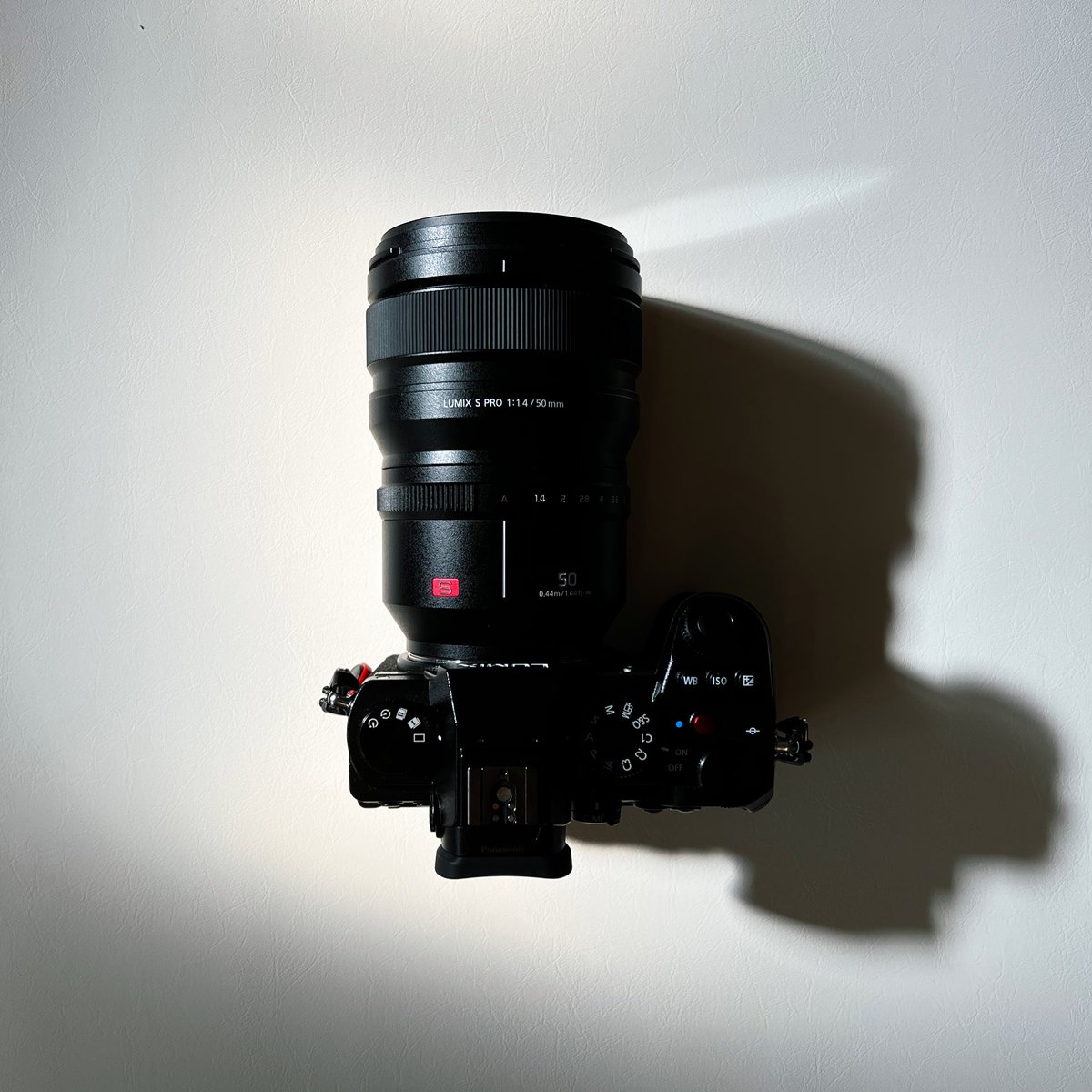 Shiotan_Photo's tweet photo. ベビーマットの上にあるからかわいい
#LUMIX #S5 #SPRO50 https://t.co/g0rFSZ9laq