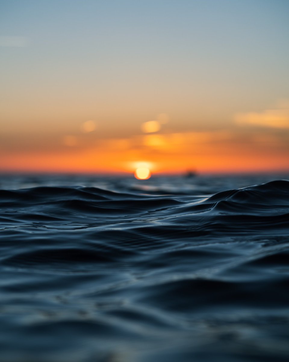 fr57mar's tweet photo. Sea-ing is believing #sunrisephotography #paddleboard https://t.co/AeQyz3eckF