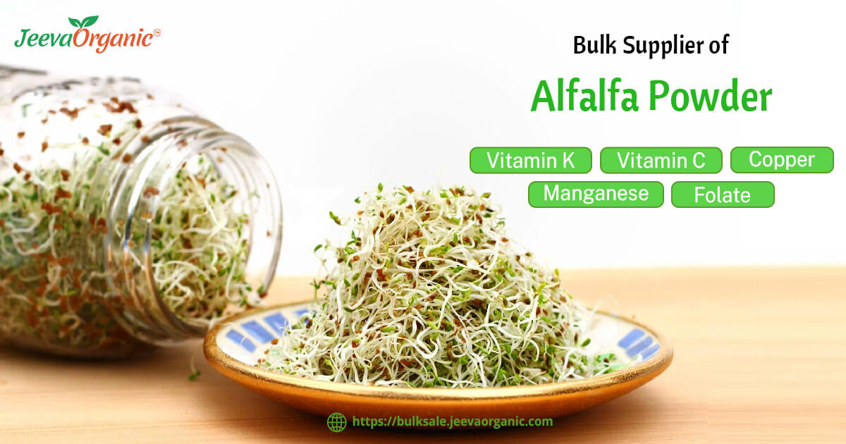 JeevaOrganic's tweet image. Send your enquiry now and get the best quote on bulk purchase order.
bulksale.jeevaorganic.com/product/bulk-a…
#alfalfa #alfalfapowder #organic #alfalfashaklee #alfalfasprouts #alfalfameal #alfalfahay #alfalfacomplex #vitaminc
