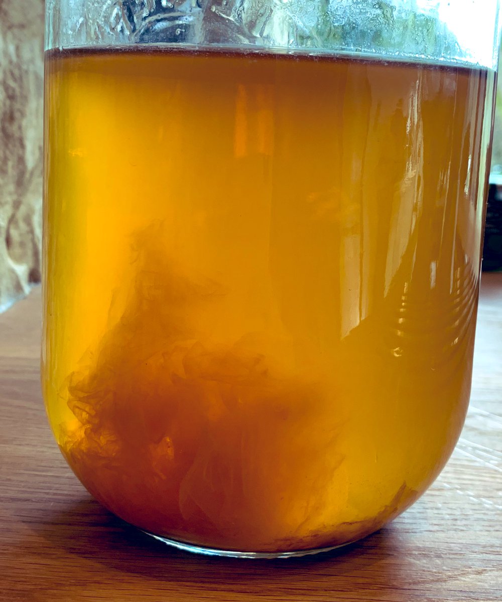 Kathy Slack - Gluts & Gluttony tweet media