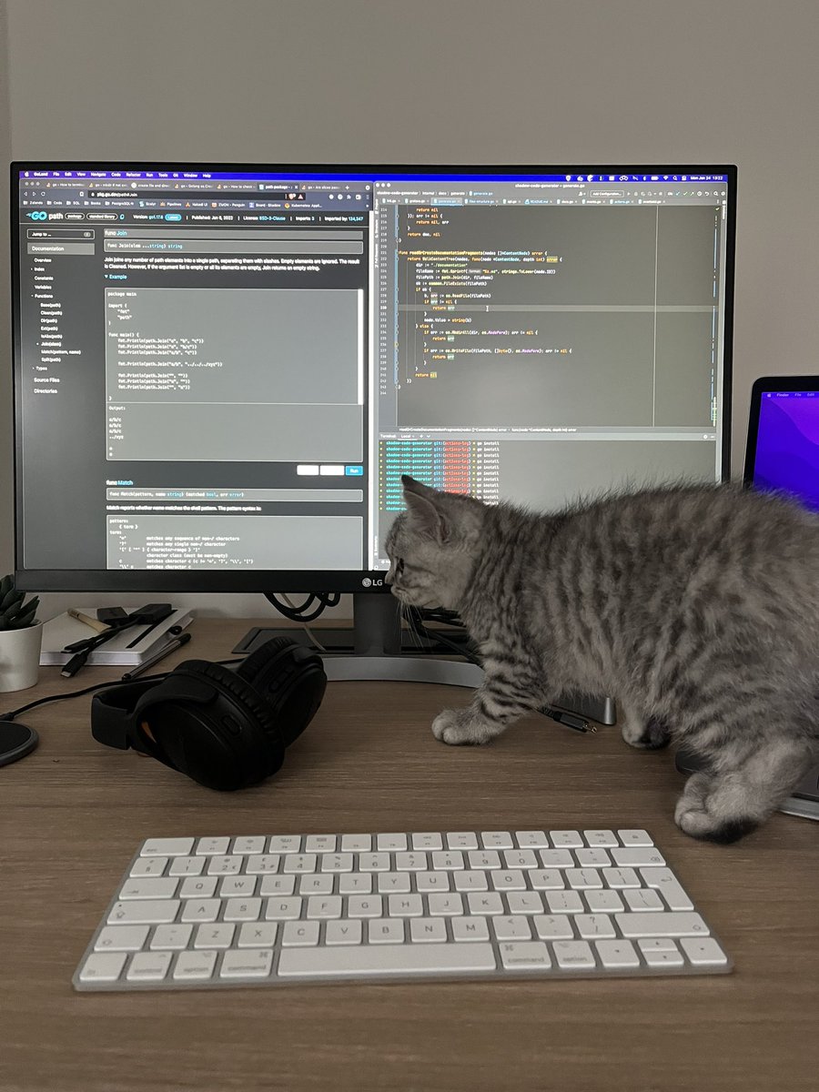 bedakb's tweet photo. Pair programming 🐱 https://t.co/j1tzYlLYTp