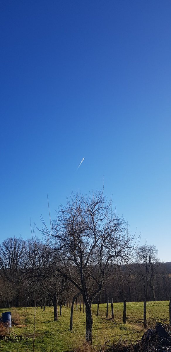 coordnatocce's tweet photo. #ecocoop Je ne peux m'empêcher de me demander si cet avion vole à vide... inconcevable dans un monde plus juste, plus économe, plus écologue https://t.co/EcSLb8gSaj
