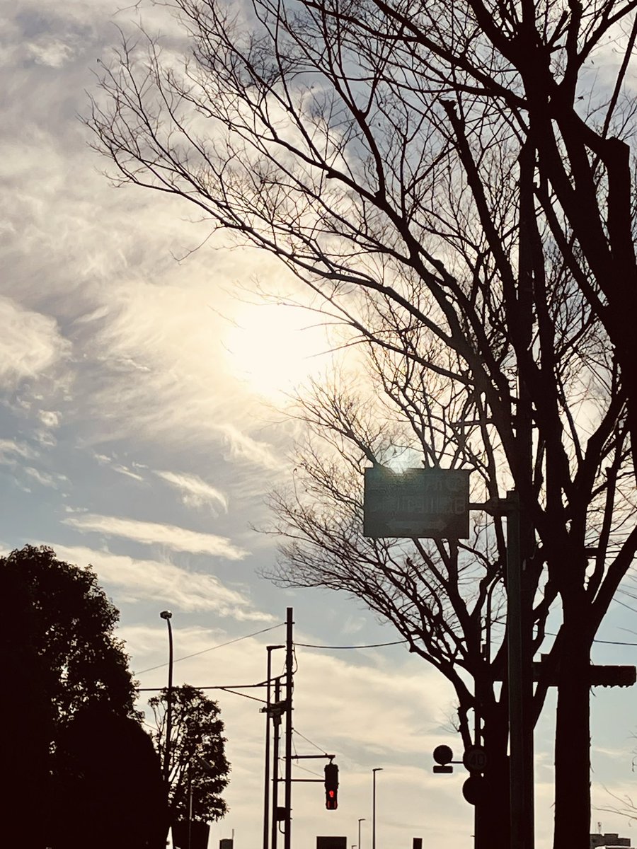 今日の夕空、空と雲がとても綺麗でした ꒰◍︎⍢︎◍︎꒱۶ ＃風景 ＃カメラ好きな人と繋がりたい ＃東京カメラ部