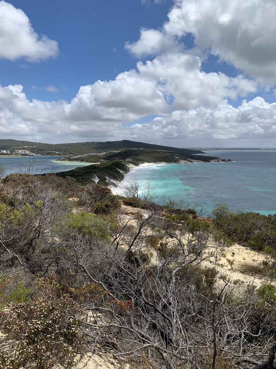 humpdoc's tweet photo. Another great coastal walk near Albany. Back to work tomorrow unfortunately. #destinationWA #lifedownunder🇦🇺 https://t.co/HIHWbP1Y51