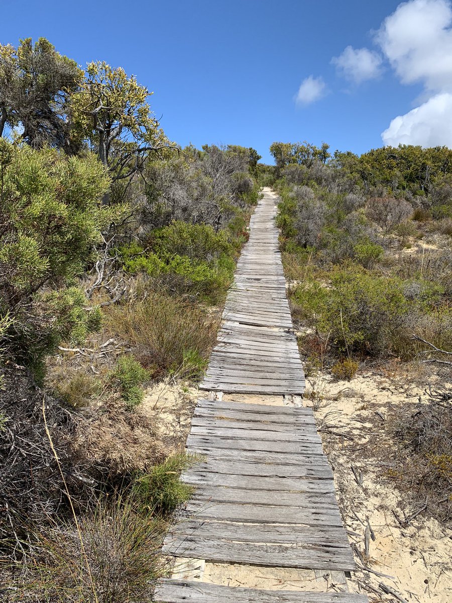 humpdoc's tweet photo. Another great coastal walk near Albany. Back to work tomorrow unfortunately. #destinationWA #lifedownunder🇦🇺 https://t.co/HIHWbP1Y51
