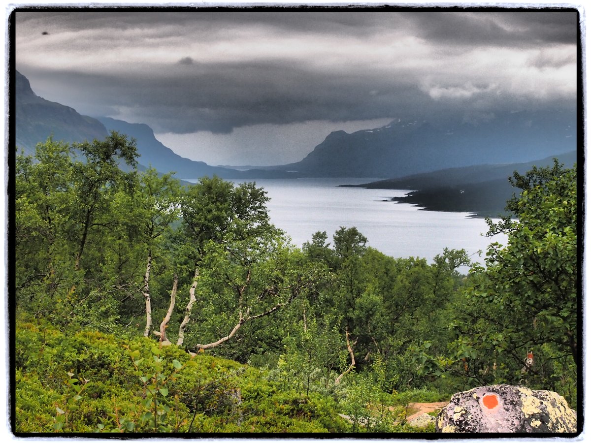 Are you looking for a fun and interactive post-doc on organic matter cycling and like the idea of working across soil, freshwater and marine systems? More details available here: kothawala.weebly.com/apply-for-a-po…
@ncatalangarcia
#organicmatter #biogeochemistry #limnology #uppsalauniversity