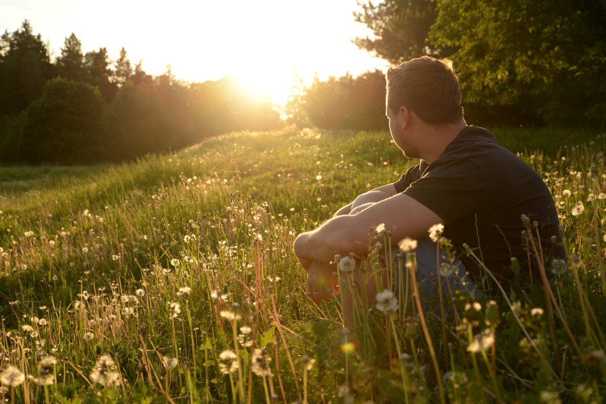 Swiss TPH tweet media