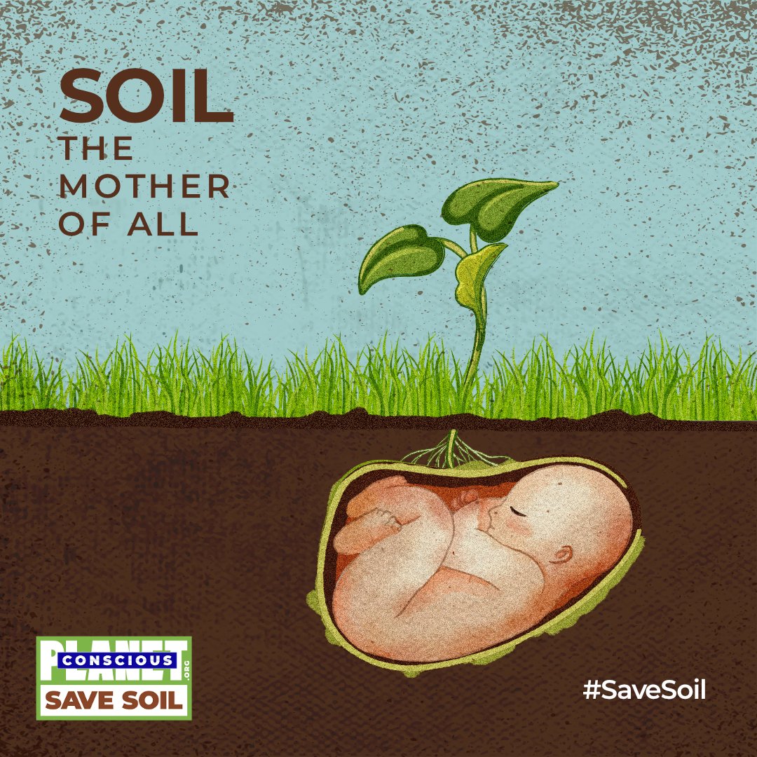 cpsavesoil's tweet photo. “Mother Earth” is more than a mere figure of speech. It refers to the womb of soil where life is nourished, allowing all of us to grow and blossom.

Join the movement. Sign up and become an #EarthBuddy. https://t.co/MWbJOyW15K https://t.co/hsqvPBY8FP