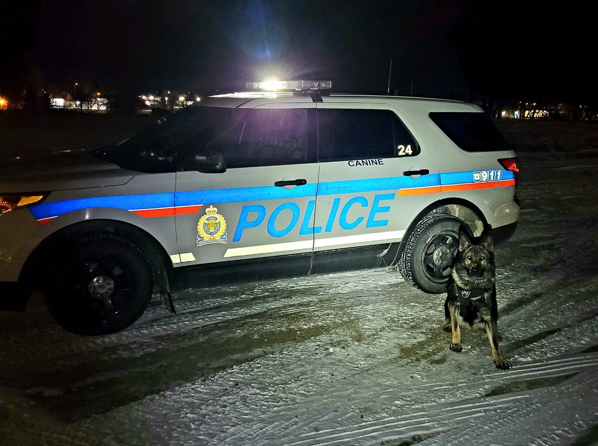 At approximately 0530 hours <a href="/MJPolice/">Moose Jaw Police</a> responded to an alarm call at a local business. A suspect was seen fleeing out the back and into the night. PSD Argo engaged in a short foot chase where the suspect decided the odds were not in his favor, and was brought safely into custody.