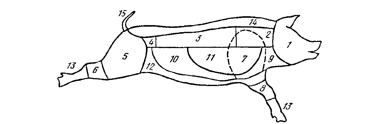 Схема разделки свиных туш. Схема разрубки туши свинины. Схема обработки свинины. Схема разруба свиной туши. Схема разруба туши свинины.
