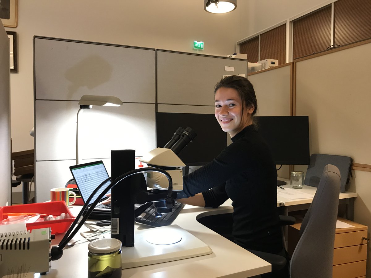 Meet our new Lab member! @_FedeLosacco is an MSc student from #UnivOfPisa, excited about #beetles, and  is going to work with us as a Research Assistant! Welcome Federica! @luomus_zoology
 @HiLIFE_helsinki https://t.co/qzU86cKJpg