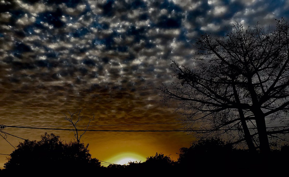 Daya 🇸🇳 tweet media