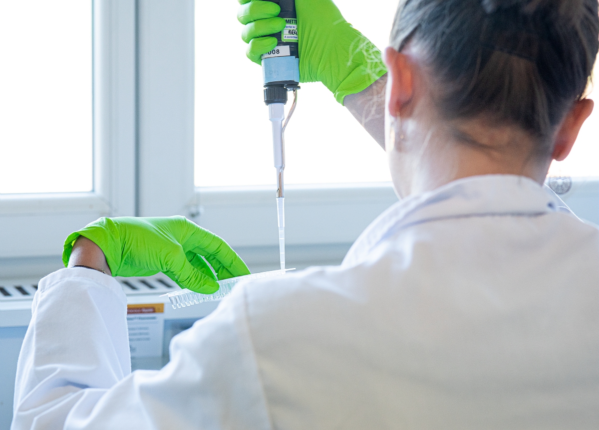 📢 #INRAErecrute
Chaires de professeur junior (h/f): une nouvelle voie de #recrutement pour les scientifiques.
Vous voulez contribuer à l’acquisition de connaissances, conduire des projets d'envergure, accéder à un #emploi titulaire #fonctionpublique ? 
👉bit.ly/3HRaUBo