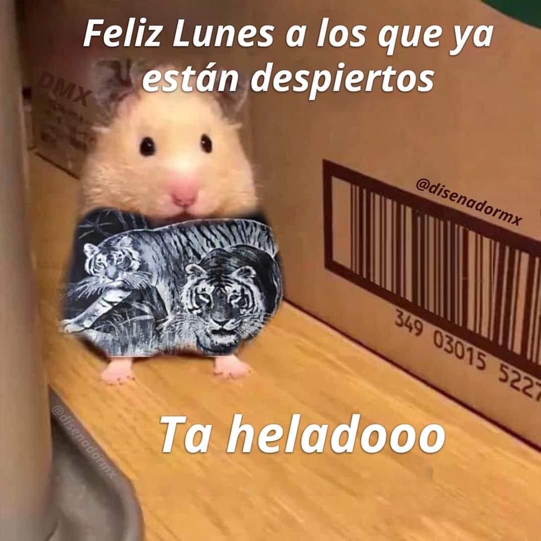 Guarromantico_'s tweet photo. https://t.co/liJBqXbTuN