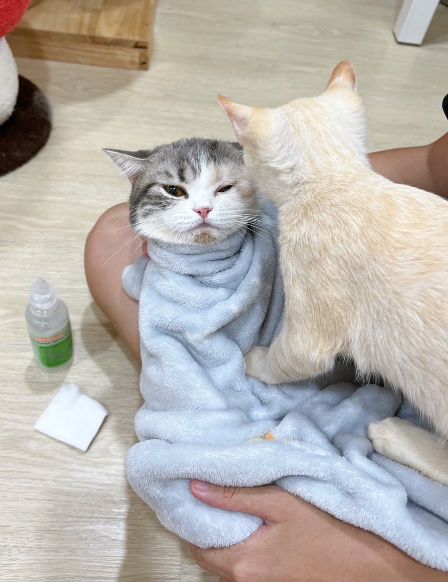_DNVP_'s tweet photo. เจ้เฟยล้างแผลทายารักษาสิว โยน้องรักมาให้กำลังในอย่างใกล้ชิด ใกล้เกิ๊นนน 🤣 https://t.co/LLclNHeF1b