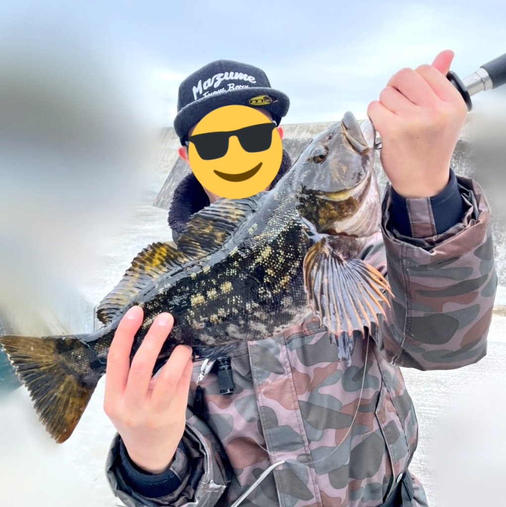 GenNakata1's tweet photo. 苦手な東北アイナメでやっちまいました…
49cmのマッチョ😍⤴️
APIA 77ML FINESSE入魂っす♪
最高の感度‼️
4枚目は別日でのメバリング🎣
宵姫爽S58FLで釣った39cmのアイナメ🐟️
ロッドが折れるかと思いました🤣
これだから釣りはやめられない😏
#APIATP77MLFINESSE
#STELLAC3000XG
#BLACKSTREAM https://t.co/VocpNLxo9m