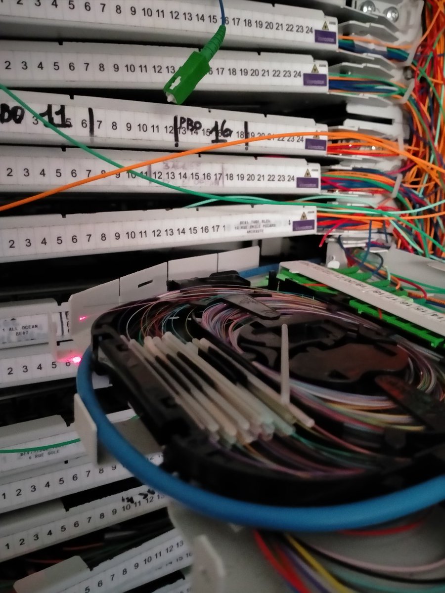 eric bellec tweet media