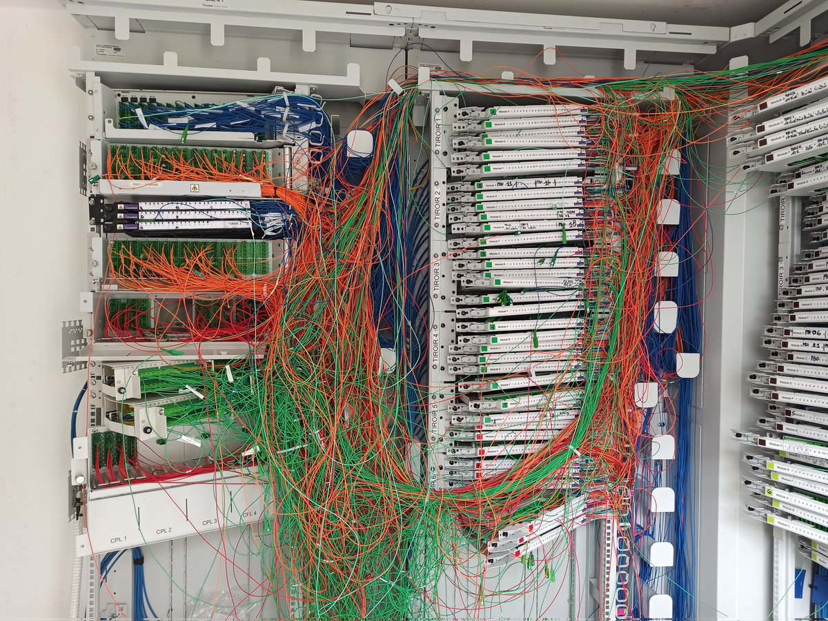 eric bellec tweet media