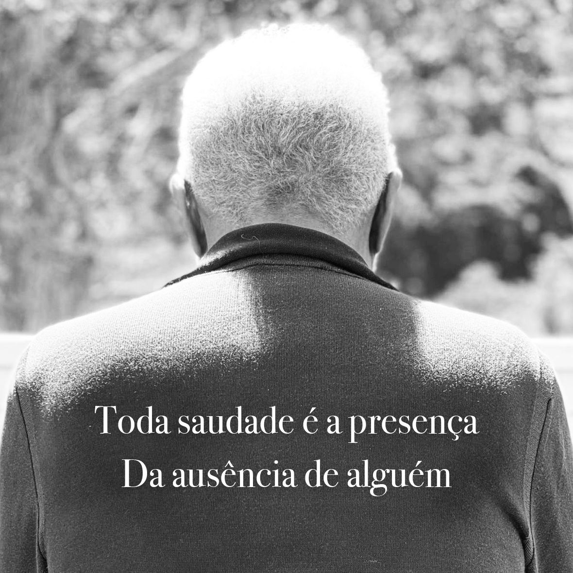 gilbertogil's tweet photo. Toda saudade é um capuz
Transparente
Que veda
E ao mesmo tempo
Traz a visão
Do que não se pode ver
Porque se deixou pra trás
Mas que se guardou no coração

- Toda Saudade

#DiaDaSaudade
Foto: @Floragil2222 https://t.co/j2IAOQvbC7