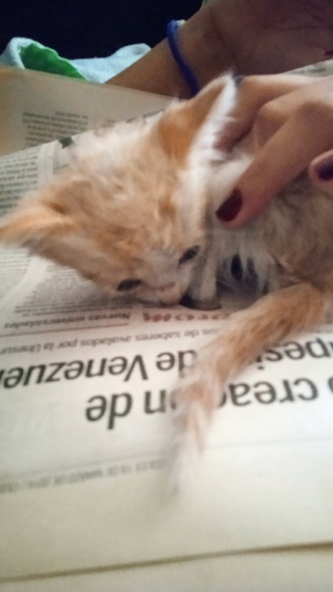 Feliz y productiva semana, seguimos intentándolo