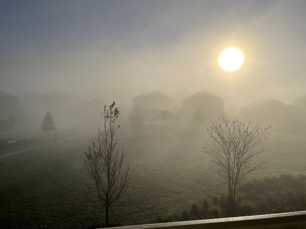 DHeckardWFTV's tweet photo. A foggy and frosty start in W Orange Co!
Morning low was 36° at #Orlando Int’l Airport, by far the coolest morning this winter season!
#flwx #frost #FLcold https://t.co/G01Xz7emz1