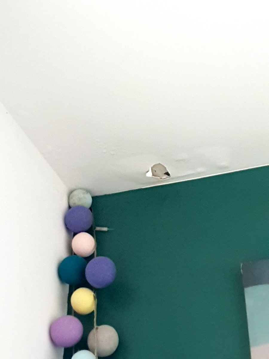 inlicolere's tweet photo. @benoistapparu @emmacosse @VilledeBOUGIVAL. Madame la  Ministre déléguée au Logement @EmmWargon après des mois de silence toujours pas de proposition faite de la part d'@inli_officiel concernant les problèmes d'insalubrité dans notre immeuble (fuites d'eau, infiltration). https://t.co/FWzZnLWF7t