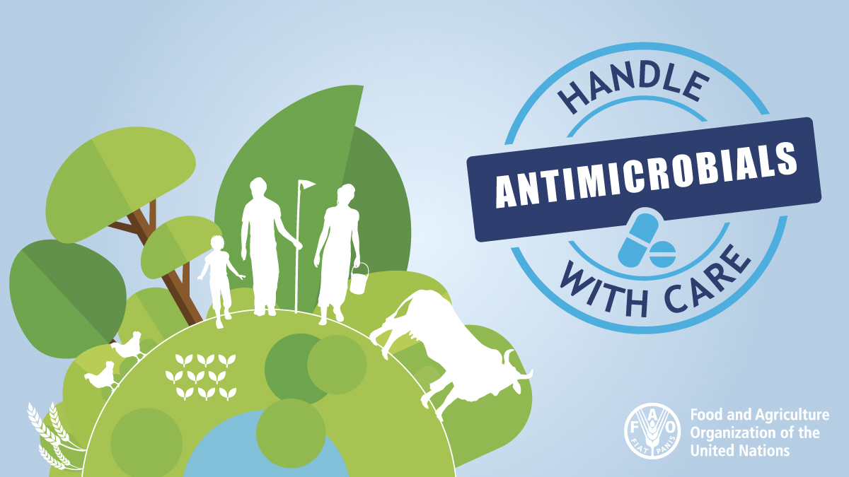 FAOLivestock's tweet photo. In 2019, 1.27 million deaths were caused by #AntimicrobialResistance worldwide.

Urgent action is needed to preserve antimicrobials as life-saving medicines 💊.

💻Find out more on how to tackle #AMR 👉https://t.co/QlK0POfXjy https://t.co/1H1xSUE3go