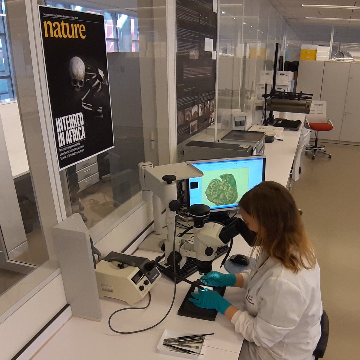 CENIEH_CRLAB's tweet photo. Feliz Día 🥳 de los profesionales de la Conservación-Restauración! En @CENIEH_CRLAB reivindicamos a diario nuestra profesión en el ámbito de la #arqueología y la #evoluciónhumana, la importancia de la #conservaciónpreventiva y el respeto al patrimonio💪
@A_CR_E 
#ICTSNews
#DíaCR https://t.co/tBWe6bmiwU