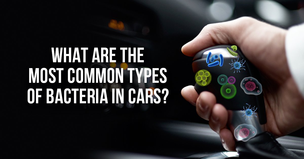 GerminatorInc's tweet photo. A study by the National Center for Biotechnology Information (@NCBI) found that there could be around 700 different bacteria strains inside your car. https://t.co/ORzSF8E72x