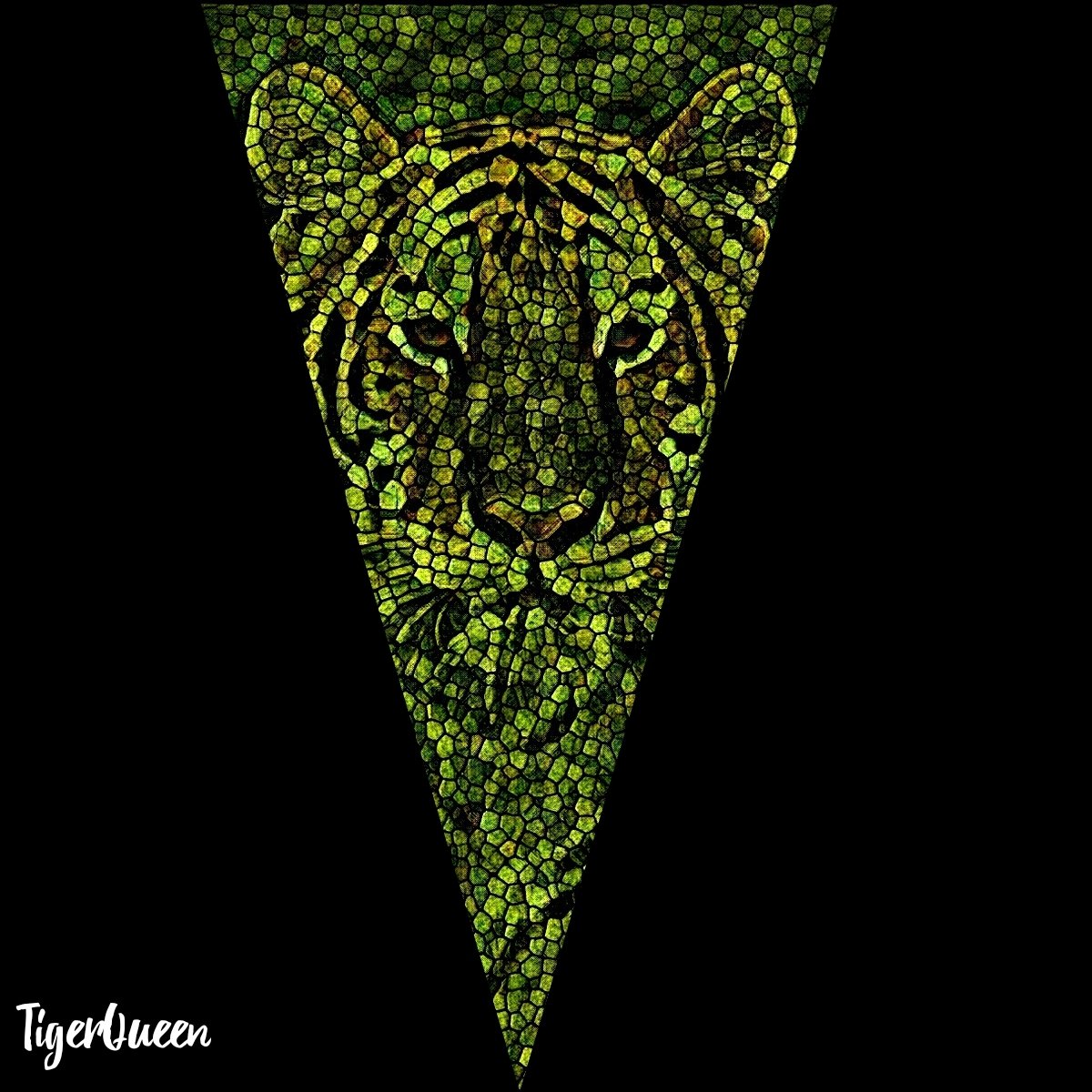 QueenSiberian's tweet photo. #nft #nftart #NFTCommunity #digitalart #Ethereum #Polygon #OpenSeaNFT https://t.co/WQcacvhfpY