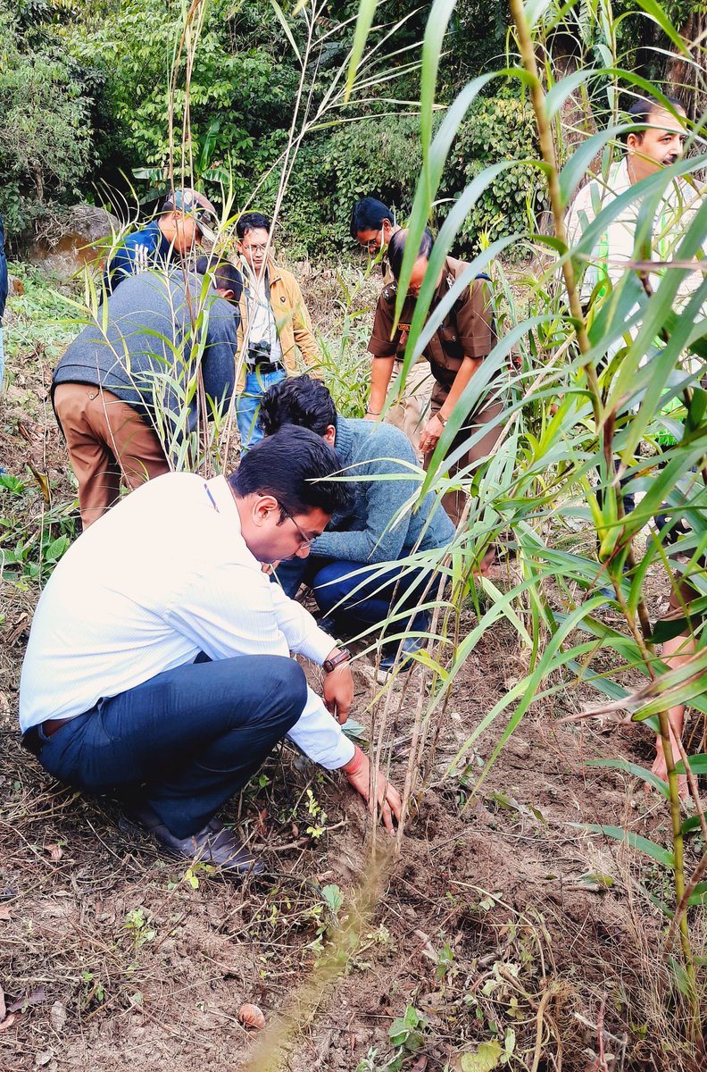 AnkitKumar_IFS's tweet photo. To get closer to the nature, you need to get your hands dirty. Keep planting trees.🌿 https://t.co/lIamHeYve4