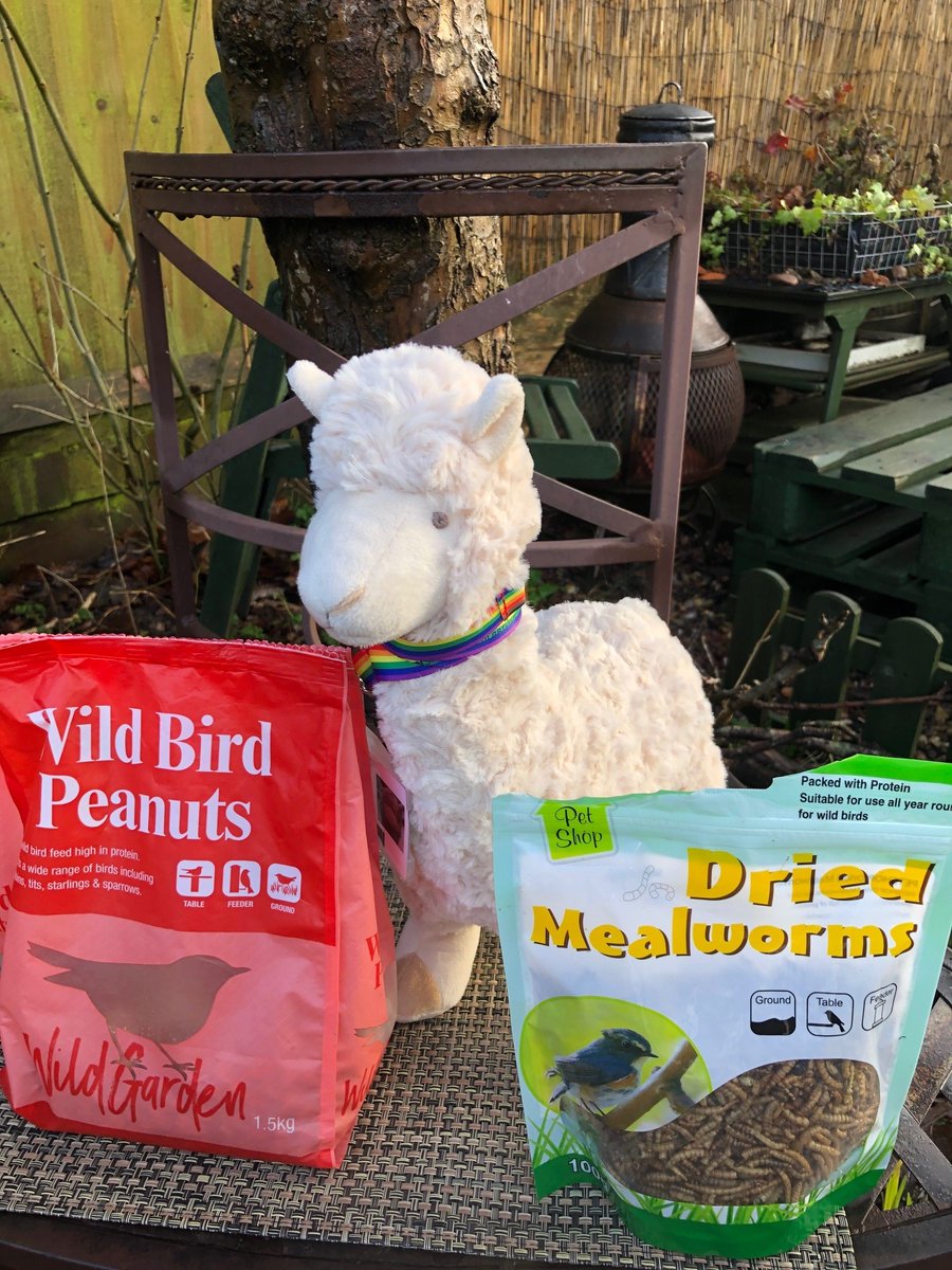 BCUlibrary's tweet photo. Did you know this #SaturdayMorning it's National #Bird Feeding month? #Lennythelibraryllama is busy lending a helping hand to our feathered friends. #librarymascot #gardens #wildlife https://t.co/JMJtvaxuh2