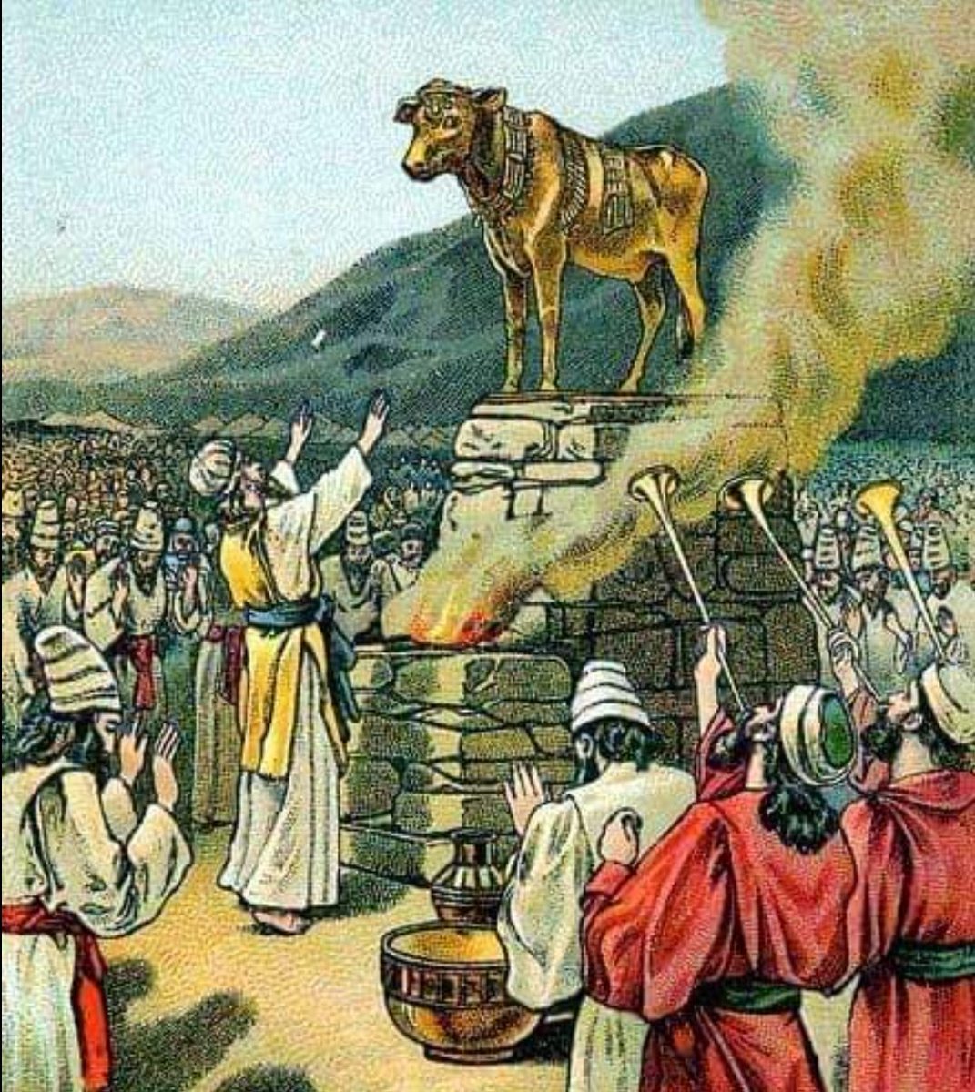 منين اجيبن موسى يحرك هالعجل ؟!!
نهب خيرات الله كلها وما يمل!!