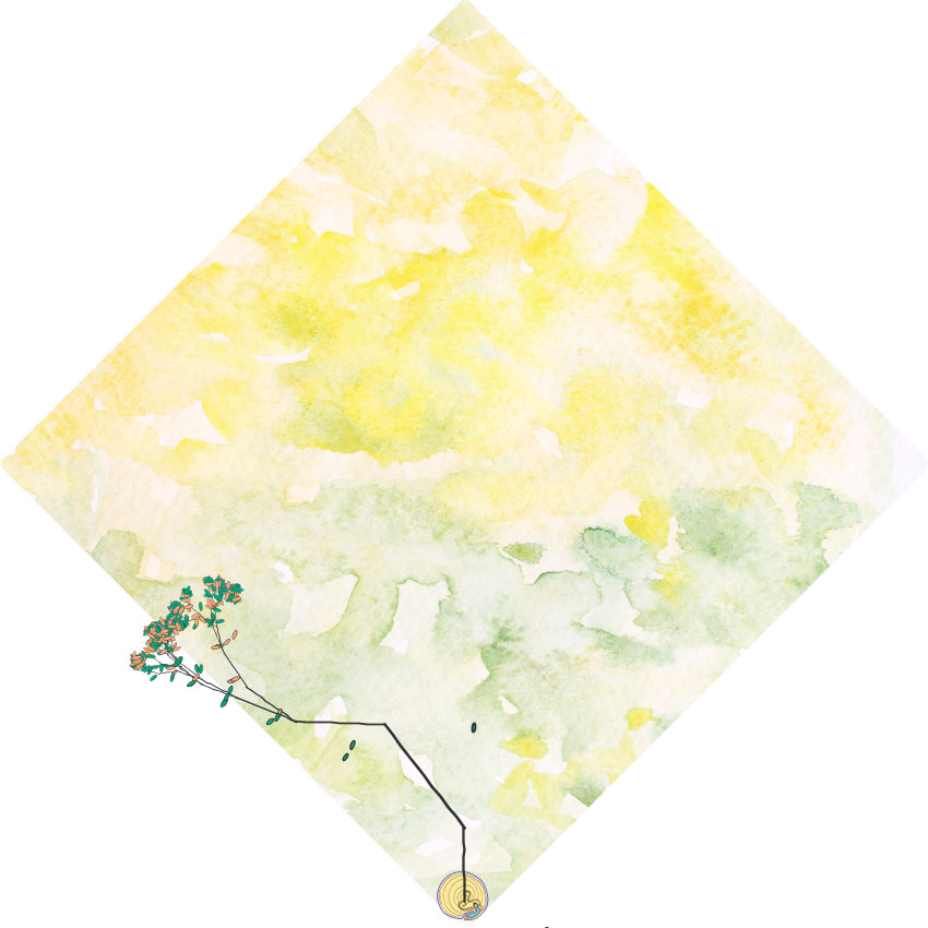metamorphed_art's tweet photo. Hi! #AvaxNftRush has begun and lots of art-based good projects are emerging. To support #AVAXNFT space, I'm giving away a nice Fractal Tree(106) from @avax_art .

To enter the giveaway;
👉Follow me and @avax_art 
👉Like and retweet
👉Share your fav art-based collection on #AVAX https://t.co/JqtIEKJ6Je