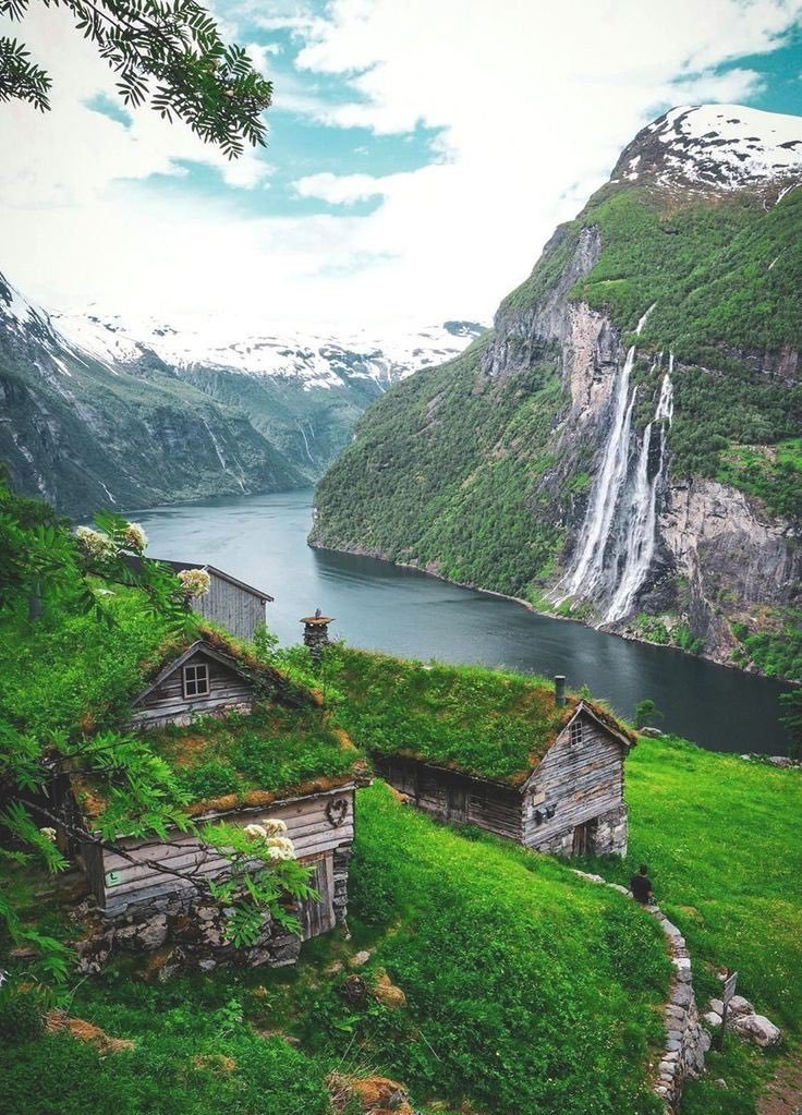 aestheticspost_'s tweet photo. Norway 💚 https://t.co/2xVXo4OciQ