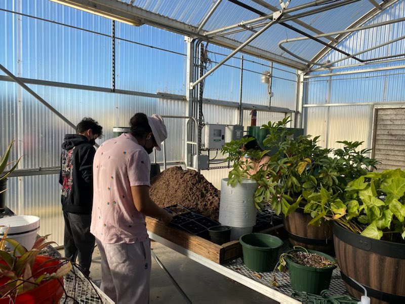 GreenTechAkins's tweet image. Some of our awesome Green Tech students getting ready for the annual plant sale on Saturday, March 26th! Mark your calendar! 🪴 @AkinsAISD @AISD_CTE