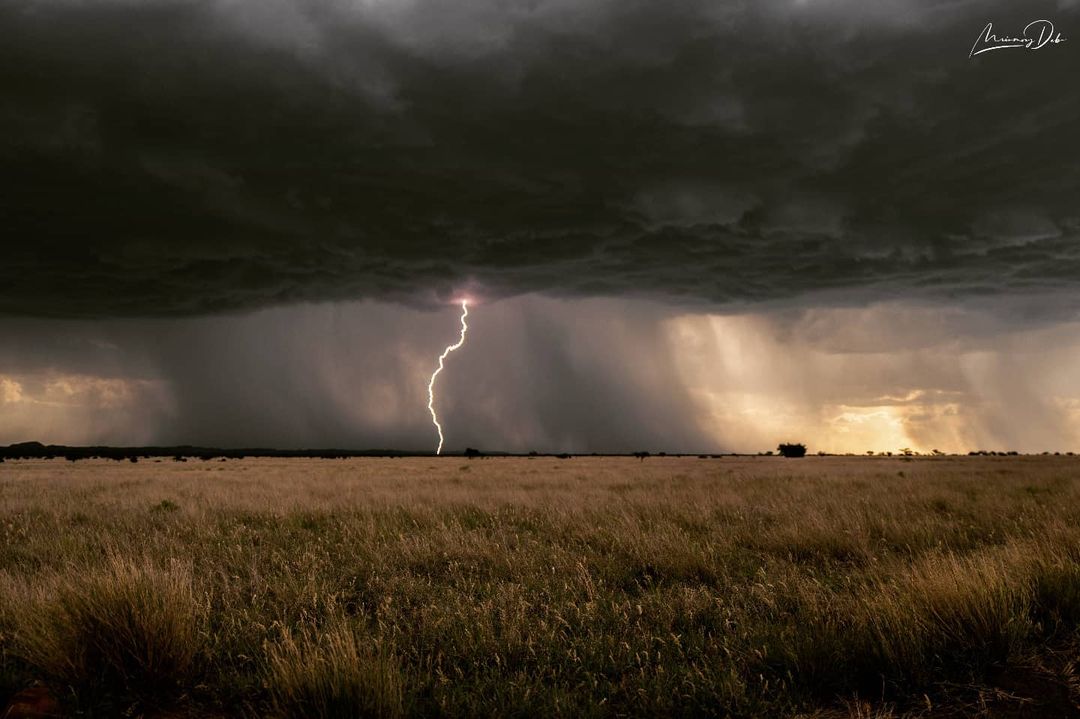 SANParks tweet media