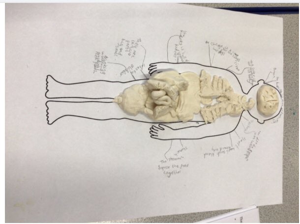 MissWoodw's tweet photo. Play doh organs 🩸🩺💩 https://t.co/1ag9YhtiZz