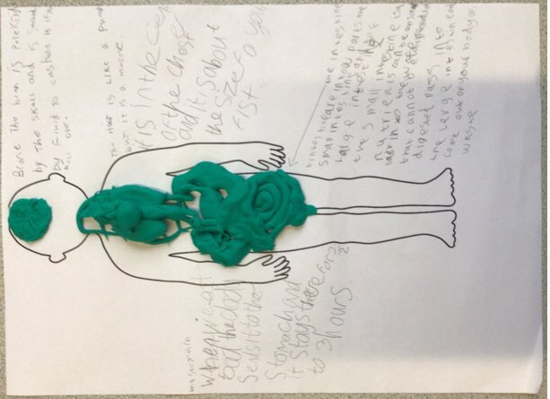 MissWoodw's tweet photo. Play doh organs 🩸🩺💩 https://t.co/1ag9YhtiZz