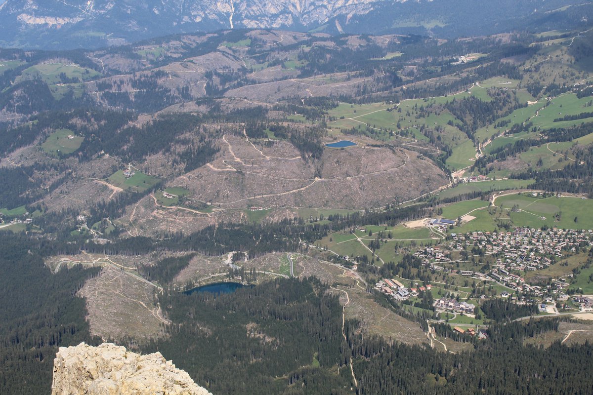 In autumn 2018, parts of the #SouthTyrolean #forests were badly affected by windstorm #Vaia. Friess et al. analyse the insect fauna in the post-windthrow areas at the northern foot of #Latemar
#Beetles #Heteroptera #leafhoppers #entomology
natura.museum/wp-content/upl…